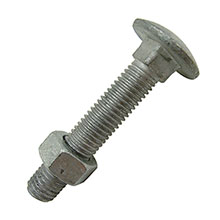 M16 - Galv - DIN603 Carriage Bolt Only